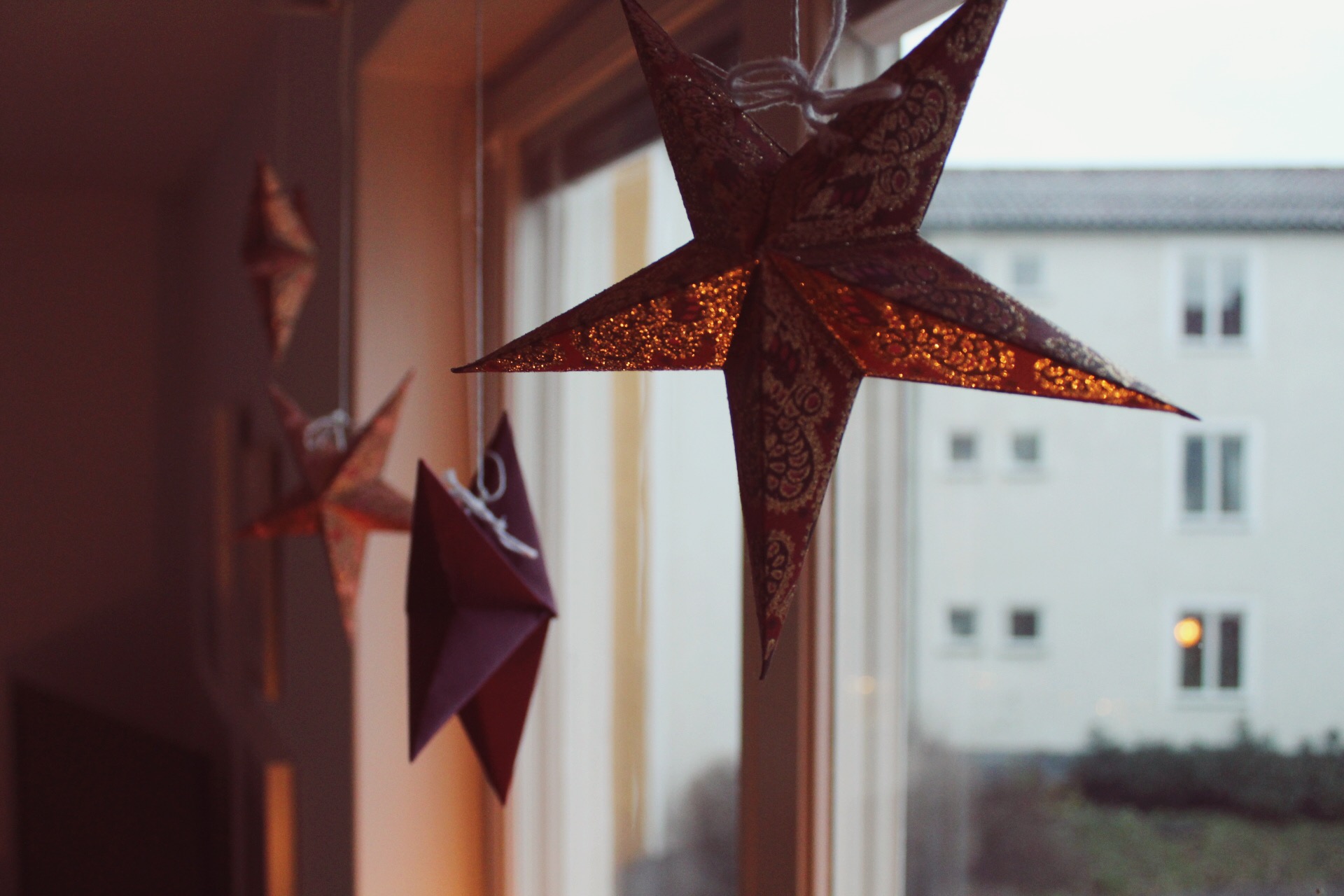 Christmas stars